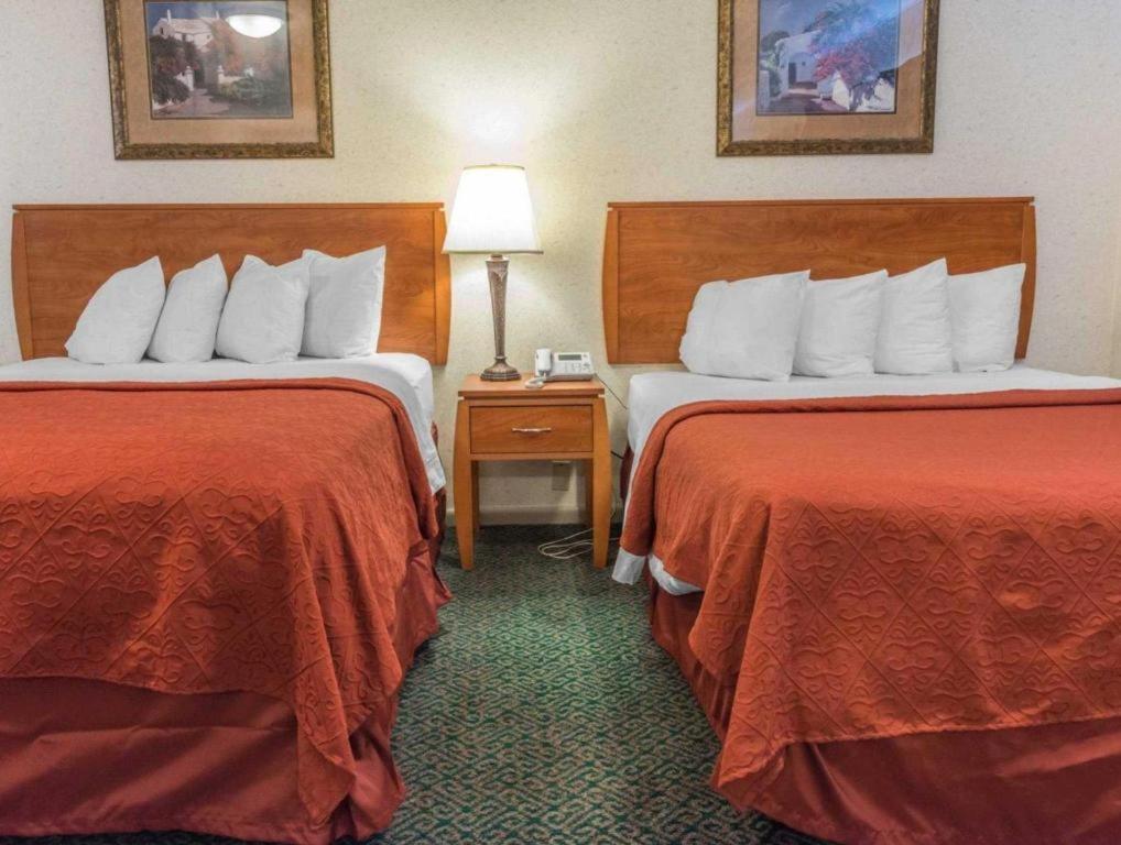 Quality Inn Royle Kittanning Exteriör bild