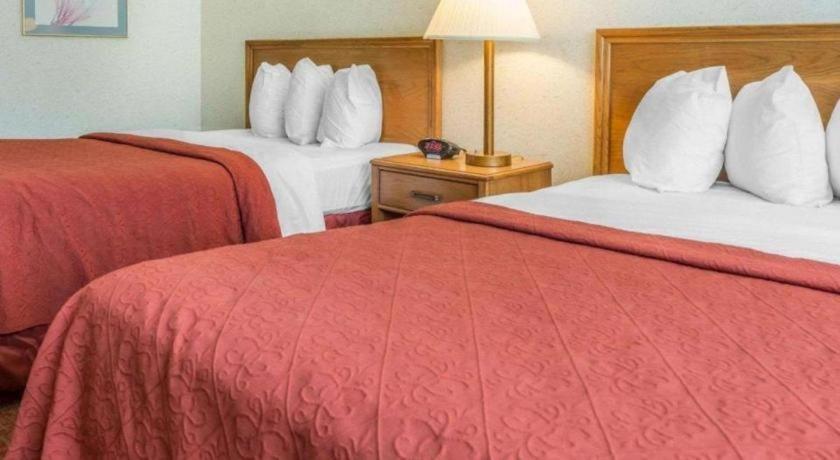 Quality Inn Royle Kittanning Exteriör bild